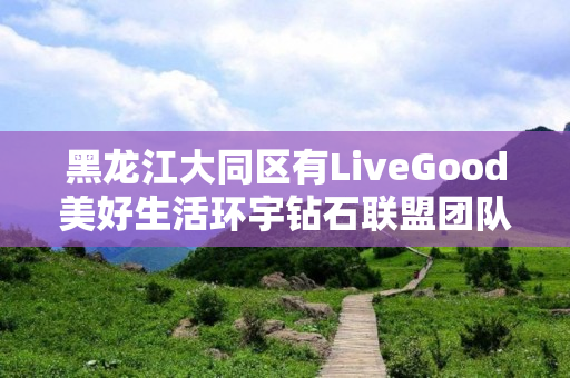 黑龙江大同区有LiveGood美好生活环宇钻石联盟团队吗