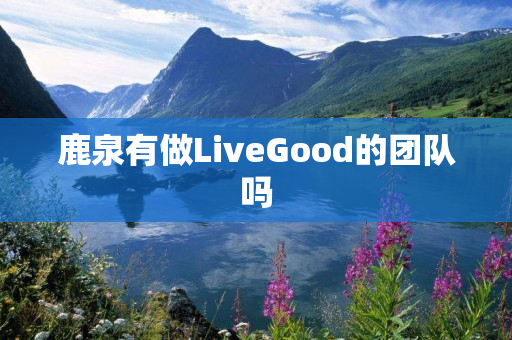 鹿泉有做LiveGood的团队吗