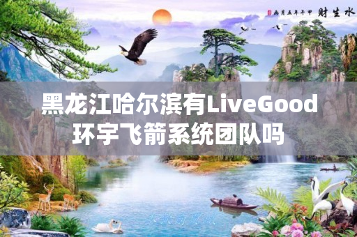 黑龙江哈尔滨有LiveGood环宇飞箭系统团队吗