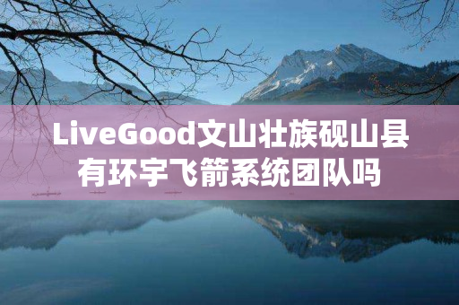 LiveGood文山壮族砚山县有环宇飞箭系统团队吗