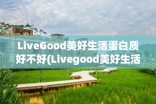 LiveGood美好生活蛋白质好不好(Livegood美好生活)