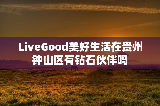 LiveGood美好生活在贵州钟山区有钻石伙伴吗