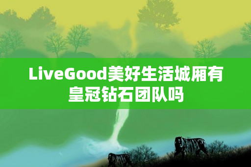 LiveGood美好生活城厢有皇冠钻石团队吗