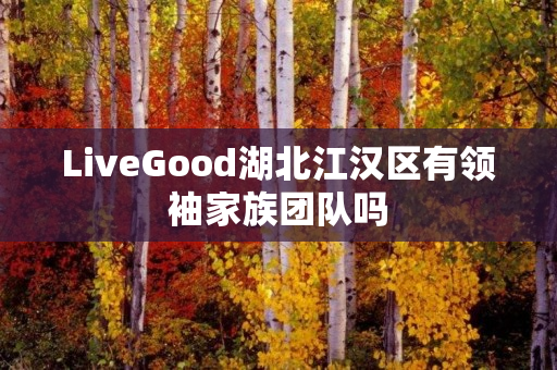 LiveGood湖北江汉区有领袖家族团队吗