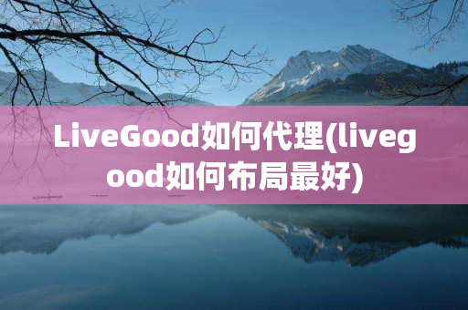 LiveGood如何代理(livegood如何布局最好)